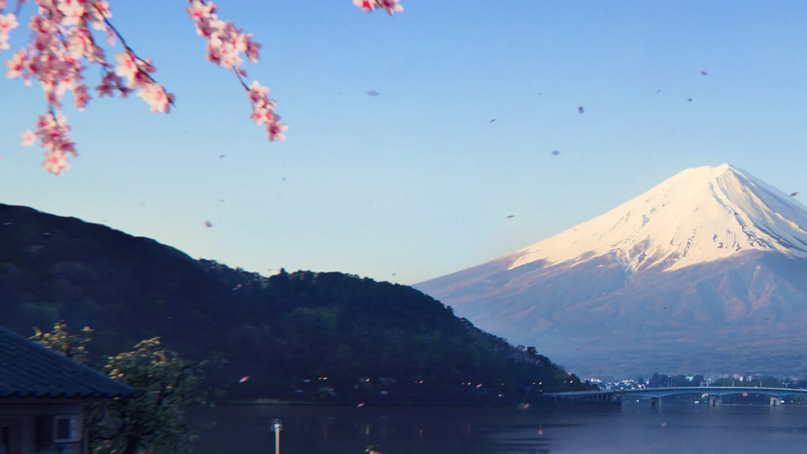 极限竞速：地平线 6